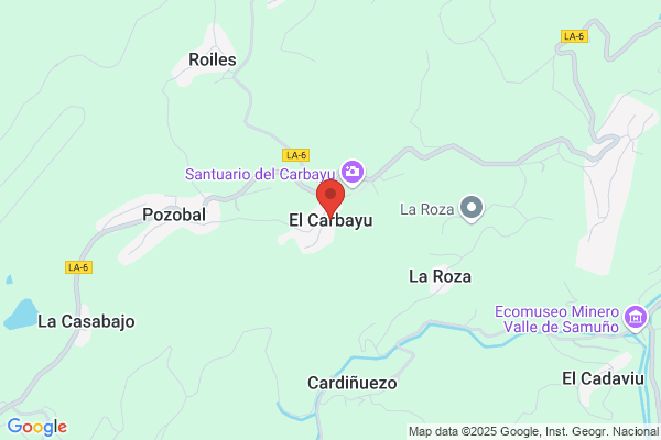 El Carbayu S.L.