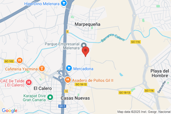 Transportes Ismael Gutierrez Camara S A