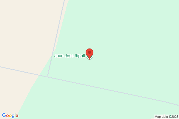 Juan Jose Ripoll Juan