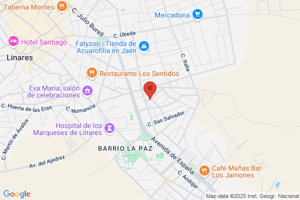 Los Infantes De Linares S.L.