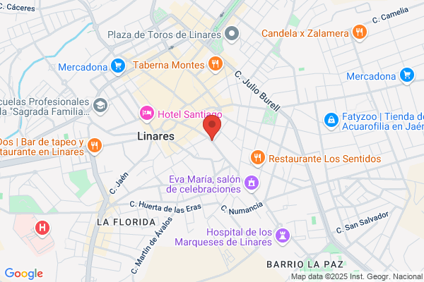 Asoc.Amigos De Manuel Lozano Garrido-Lolo