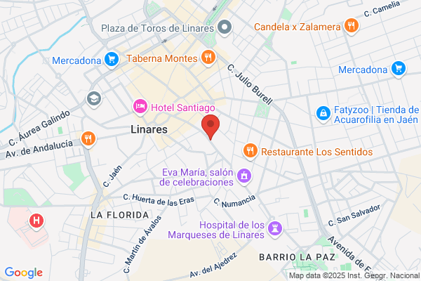 Asociacion Cultural Educativa De Linares