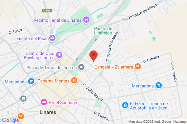 Asociacion De Disminuidos Fisicos De Linares