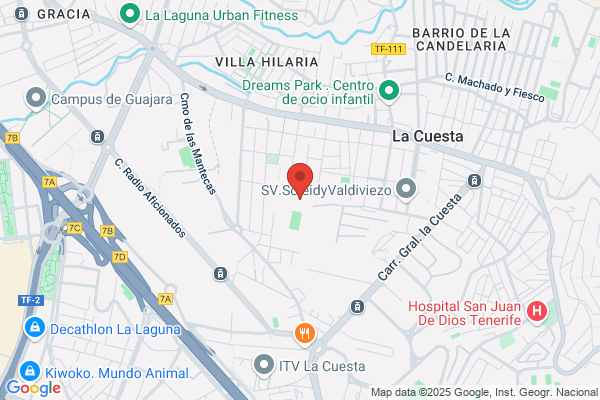 Colegio Oficial De Agentes Comerciales