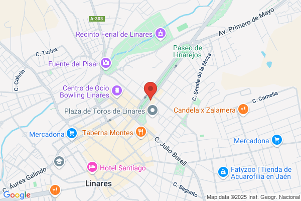 Blesa De La Parra (Maria Dolores Procuradora De Los tribunales)