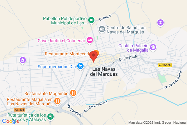 Banco Central Hispanoamericano S.A.