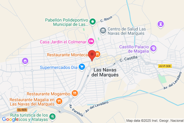 centroveterinario las navas