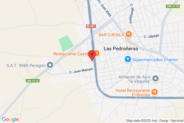 Recambios y Accesorios Pedroñeras, S. L.