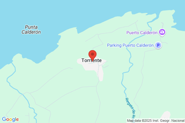 Torriente Castro e. De La