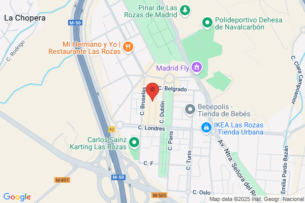 Restaurant Meson Las Chimeneas