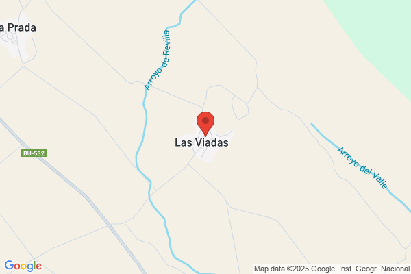 Estilo de Vida