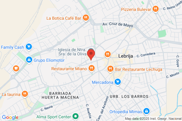 Juventud Antoniana De Lebrija