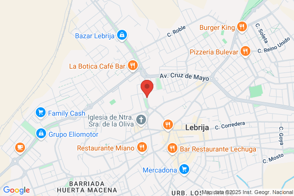 Hijos De Juan Lopez Barragan S.L.