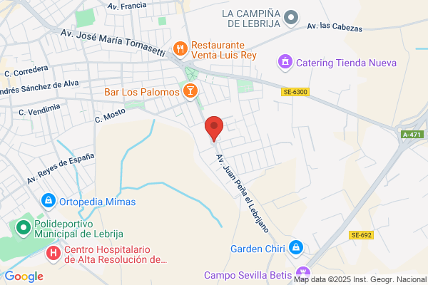 Periodico Lebrija Flamenca
