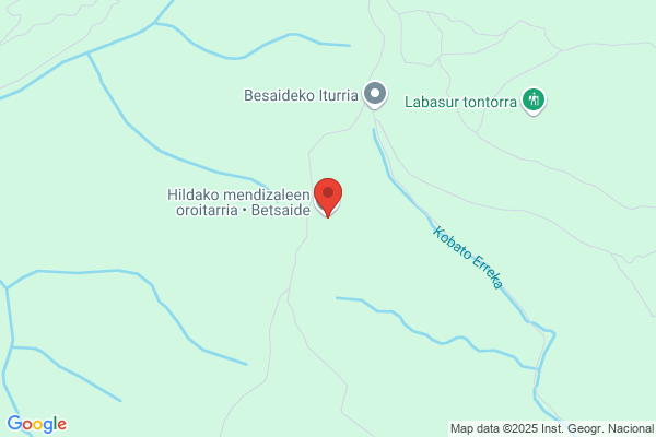 Besaide