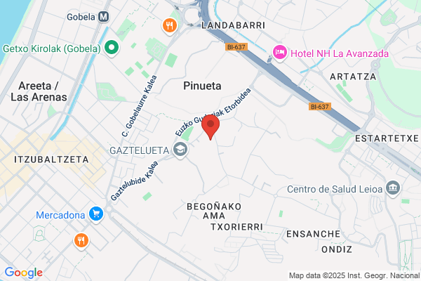 Arbide Basterrechea a.