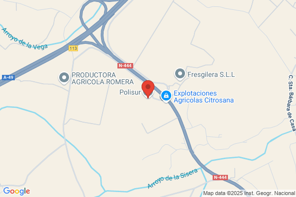 Polisur