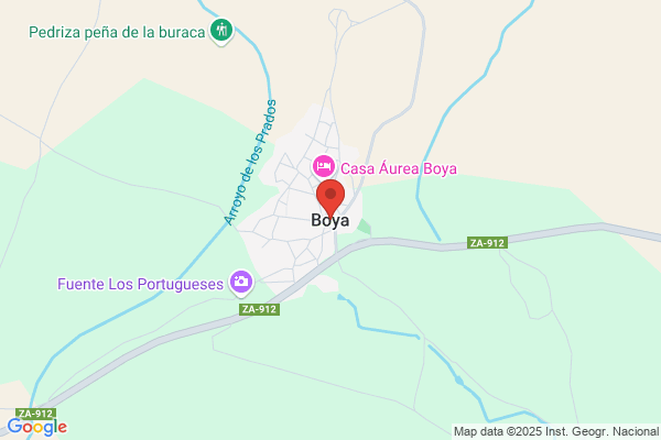 Boya Rodriguez d.