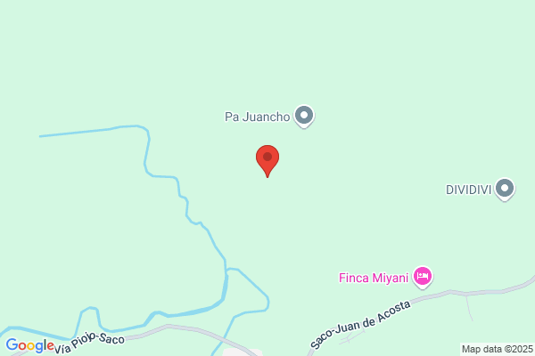 Acosta Curado p.