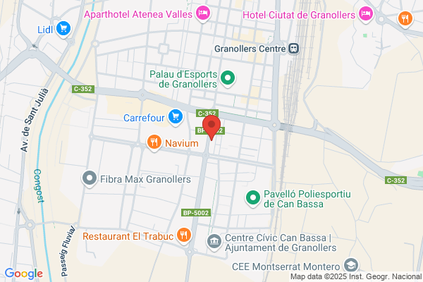 Anapesing, Sistemas de pesaje industrial, balanzas y básculas