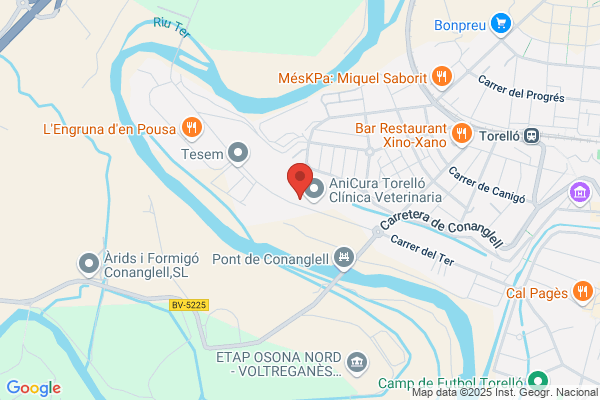Bosch Car Service Repararció Rifà