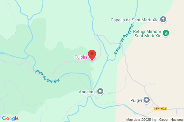 Aligue Pujol j.