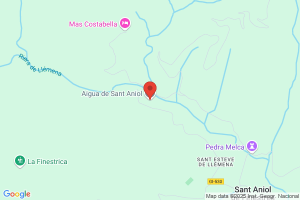 Aigua De Sant Aniol S.A.