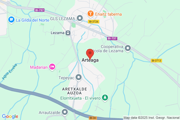 Arteaga Zamacona a.