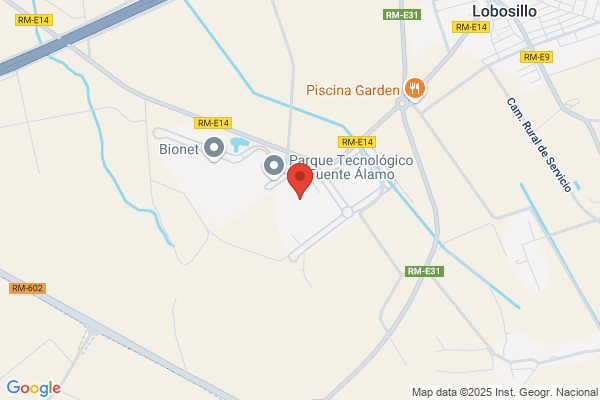 Torres Mayor r.