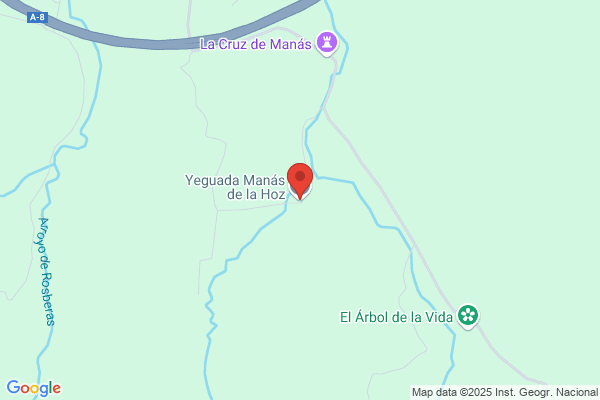 Manas De La Hoz S.A.