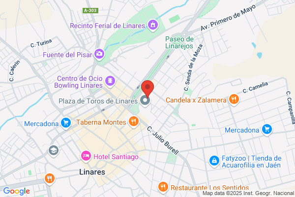 Rivera Electronica