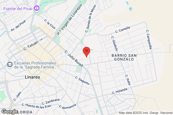 Bosch Car Service Automecanica Rosa