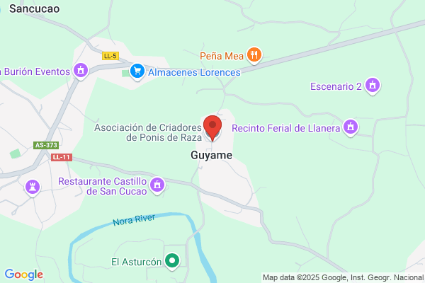Asociacion De Criadores De Ponis De Raza asturcoh