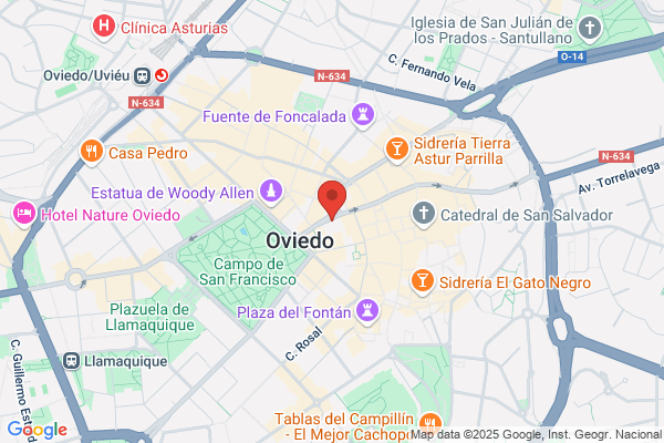 Sociedad Anonima Tudela Veguin