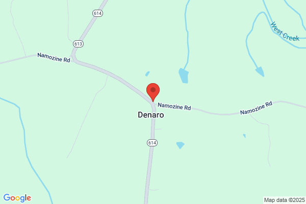 Dellaversano virginia