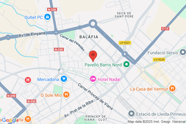 Lleida Taxi Josep Borràs
