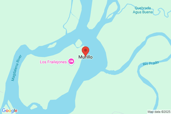 Ciudad Murillo a.