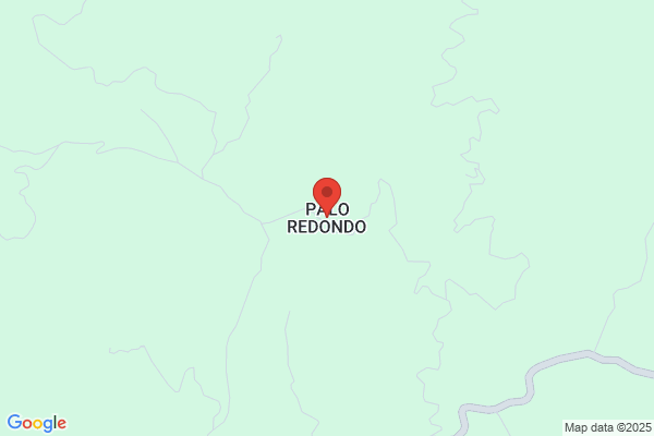 Palop Redondo m.