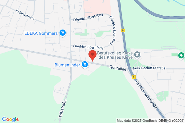 Arans Tost m.