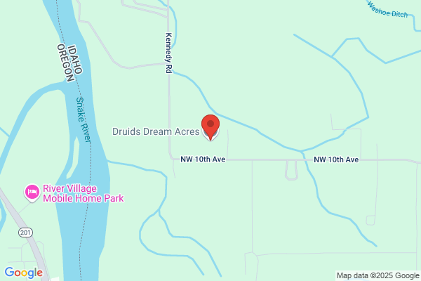 Druida Dream