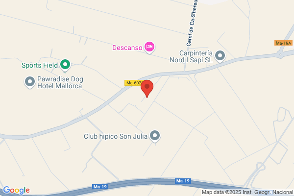 Hotel Son Duy