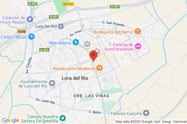 Endesa Servicios S.L. Sociedad Unipersonal