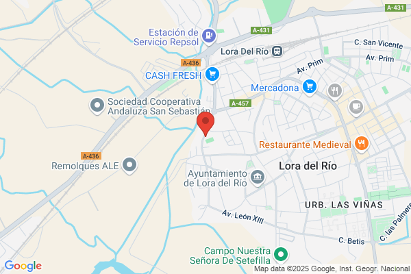 Rotulora