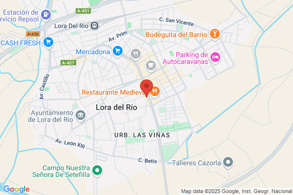 GAES una marca amplifon