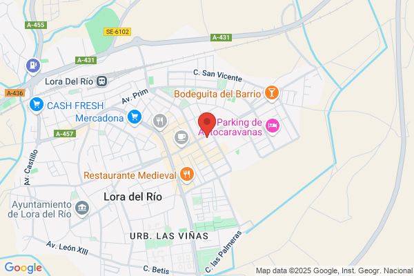 Manzanares Sanchez p.