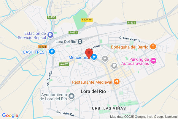 Registro De La Propiedad De Lora Del rio