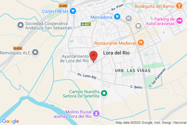 Ayuntamiento De Lora Del Rio