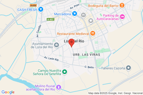 Borreguero Pineda m.
