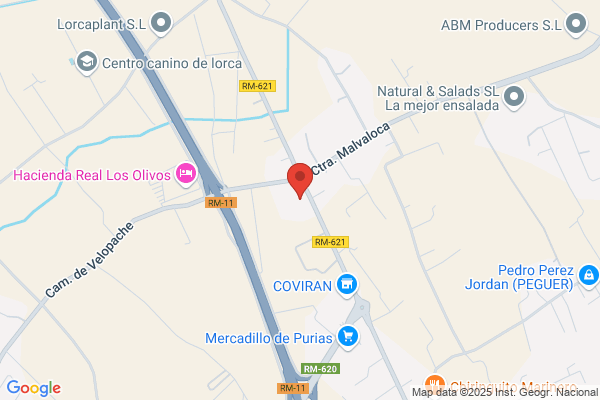 Asesoria De Purias S. A.