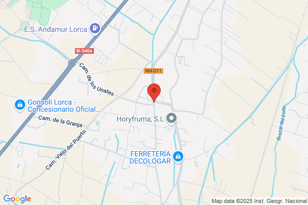 Autocares Hnos Mendoza s.l.